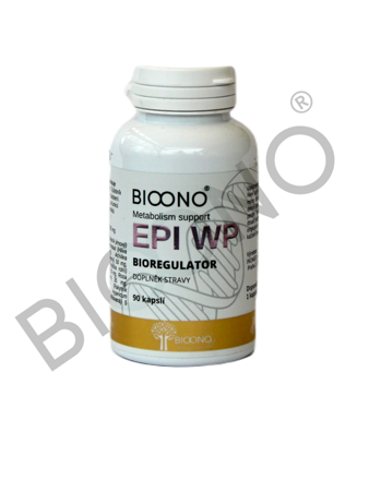 EPI WP 
